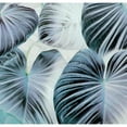 thumbnail image 3 of Surma, Agata 12x12 Black Modern Framed Museum Art Print Titled - Botanic Blues, 3 of 5
