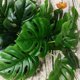 thumbnail image 4 of Plantas Simuladas Inteprter Verde Textura Clara Decoración de Partición 12 50 Carey, 4 of 6
