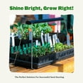 thumbnail image 4 of Epic Gardening Seed Starting Grow Light, Full-Spectrum LED with Adjustable Height for Indoor Seedlings, Energy-Efficient, Light with Timer (Small), 4 of 6