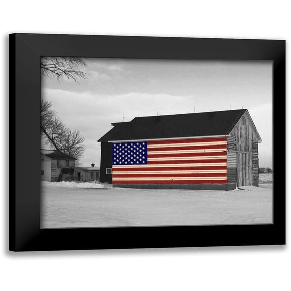 Petroff, Tom 14x12 Black Modern Framed Museum Art Print Titled - Flag Barn 2
