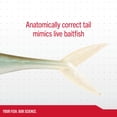 thumbnail image 6 of Berkley PowerBait® The Champ Minnow, 2.5 in, Minnows, HD Bluegill (10 Count), 6 of 9