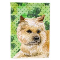 Carolines Treasures BB9864GF Cairn Terrier St Patricks Flag Garden Size  Small multicolor