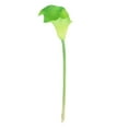 thumbnail image 4 of kurtrusly Wedding Decor With Simulated Calla - Choose Variety Of Colors And Styles With High 3D And Simulation Durable PU Tender green 5PCS, 4 of 6