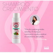 Nourishing Herbal Shampoo with Rosemary, Honey, Aloe Vera & Onion Extract – 16 oz