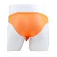 thumbnail image 3 of TANBOM Men's Regular Triangle Mesh Underwear Breathable Assorted Colors XL 4-pack, 3 of 5