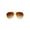 Gold, variant on Elvis Pressley Style Sunglasses Burning Love, Silver