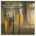 12 Pack Archery 500 Spine Carbon Arrows with Real and Removable Tips