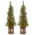 thumbnail image 4 of National Tree Company 4 ft. Pre-Lit Artificial Lehigh Valley Pine Christmas Entrance Trees, Clear Lights, Set of Two, Includes Lighted Base, 4 of 6