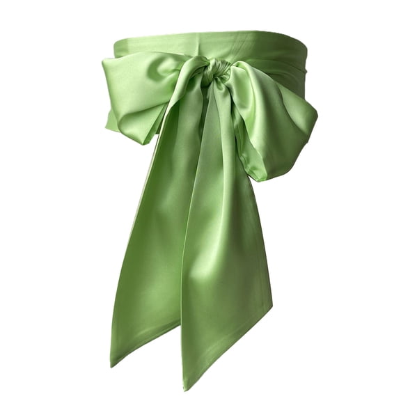 RUISINERY Ribbon Waistband Wide Belt Women's Dress Bowknot Sash Corset Belt for Weddings and Parties 250cm Long Solid Color