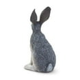 thumbnail image 5 of Safari Ltd. American Desert Hare Figurine - Lifelike 3" Model Figure - Educational Toy for Boys, Girls, and Kids Ages 3+, 5 of 7