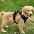 thumbnail image 3 of No-pull Dog Harness Padded Adjustable Pet Vest Harness Clip Harness, 3 of 4