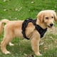 thumbnail image 3 of Tirantes para perros s, tirantes para mascotas sin tracción con 1 clip de cuero, chalecos para perros acolchados ajustables, chalecos para mascotas Oxford sin obstáculos reflectantes, fáciles de, 3 of 5