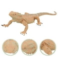 thumbnail image 3 of Bearded Dragon Figurine Realistic Plastic Lizard Reptile Figurine Educational Prop, 3 of 7