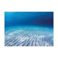 thumbnail image 1 of Ambesonne Ocean Jigsaw Puzzle, Clear Water and Waves, Heirloom-Quality Fun Activity for Family Durable Cardboard, 1000 pcs, Navy Beige, 1 of 2