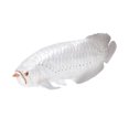 thumbnail image 1 of LEEYNEER Poisson Simulation Argent 1Ensemble 6.3X2.4X1.2In, 1 of 6