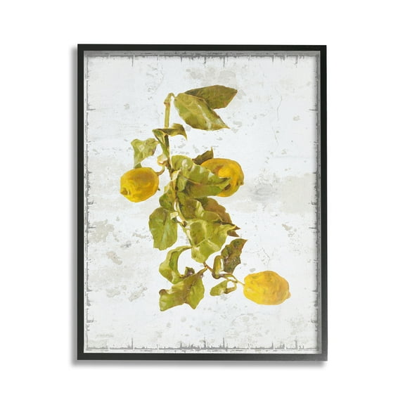 Stupell Industries Natural Lemon Fruits Food & Beverage Painting Black Framed Art Print Wall Art, 11 x 14