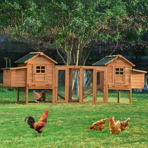 FLYING BANTAM~Automatic Chicken/Hen House Door Opener and Door Kit 