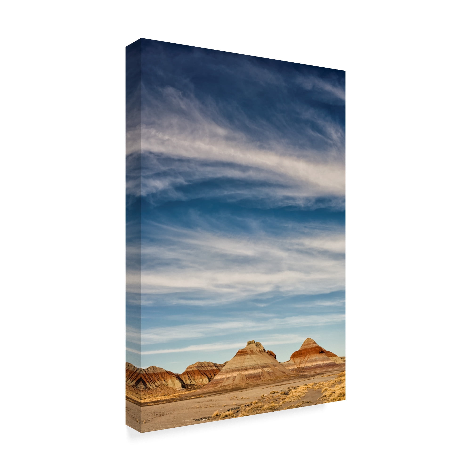 Trademark Fine Art 'Arizona Painted Sky I' Canvas Art by Janice Sullivan