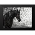 thumbnail image 2 of PHBurchett 18x14 Black Modern Framed Museum Art Print Titled - Equine Portrait III, 2 of 5