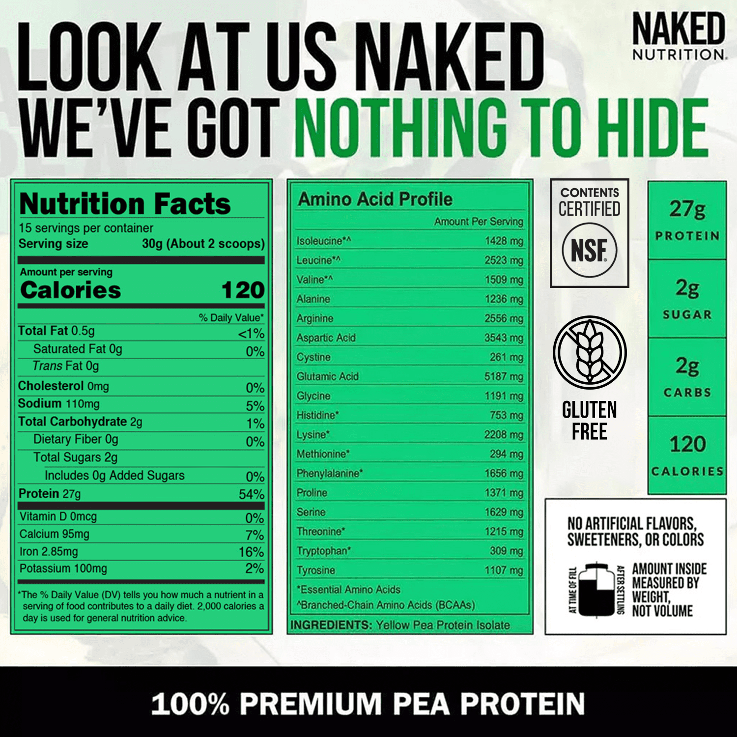 Naked Pea - Pea Protein Isolate - Plant Based, Vegetarian & Vegan Protein. Easy to Digest, Non-GMO, No Lactose, No Soy and Gluten Free - 15 Servings