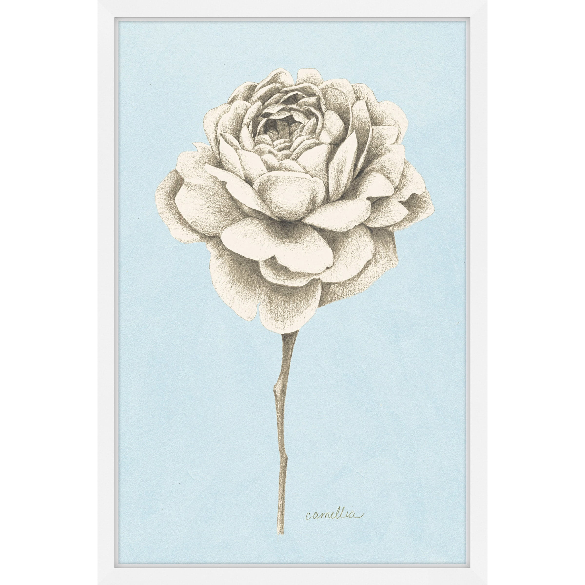 Marmont Hill "Botanical Study I" Framed Painting Print