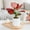 White, variant on Sktrjpolfis Plastic Self-Watering Plant Pots 4.52x3.94in Indoor Flower Pot with Water Reservoir for Home Office Decoration