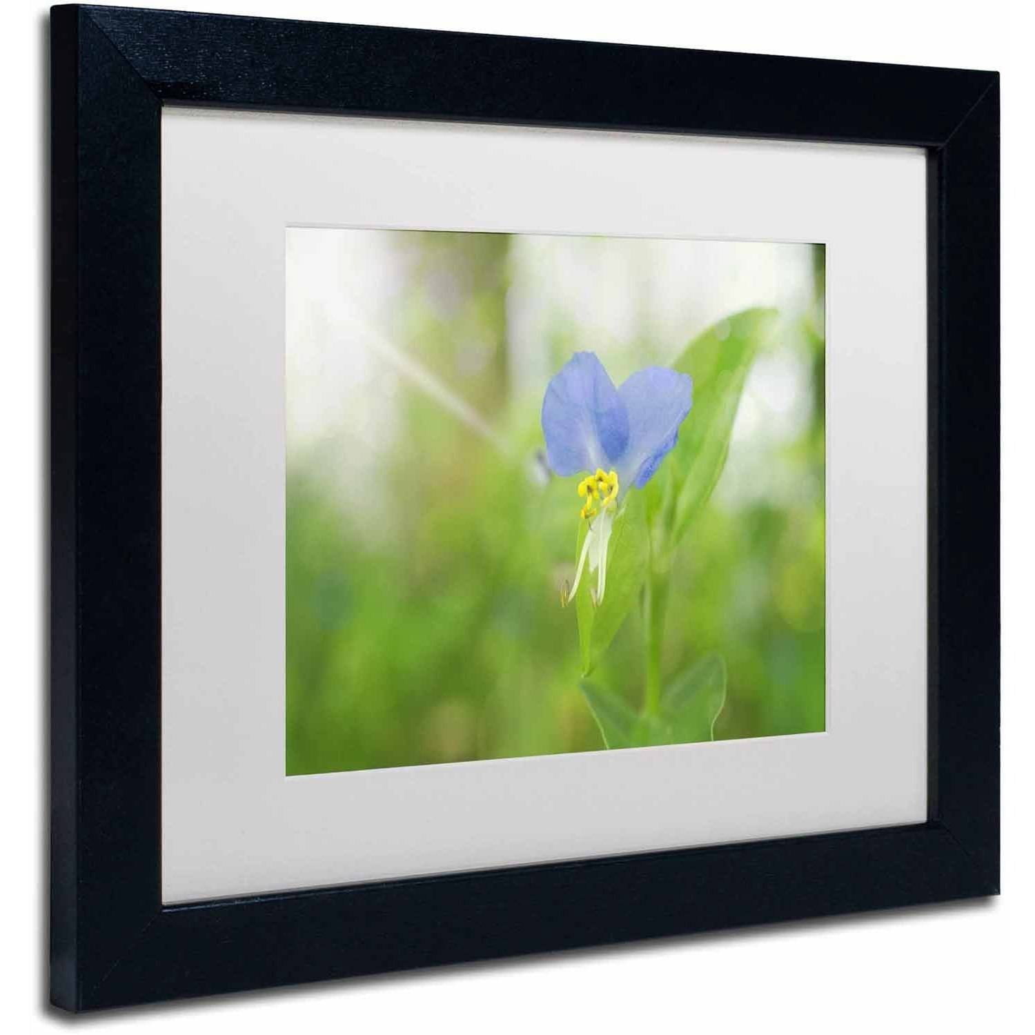 Trademark Fine Art 'Asiatic Dayflower' Canvas Art by PIPA Fine Art, White Matte, Black Frame