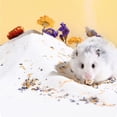 thumbnail image 4 of huayou 500g Hamster Cleaning Sand, Odor-Reducing Bath Sand for Healthy Coat and Skin Care, 4 of 6