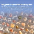 thumbnail image 3 of Magnetic Seashell Storage Box Transparent Acrylic Display Case Stackable Organizer with Multiple Compartments for Small Craft Trinket Starfish Conch Beads Jewelry Art Supplies, 3 of 8