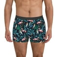 thumbnail image 1 of Balery Flamingos And Birds Calzoncillos bóxer para hombre, ropa interior de algodón suave y transpirable con cinturilla de nailon-Small, 1 of 5