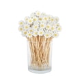 thumbnail image 2 of Outdor Floral Toothpicks Elegant Decorative Picks For Parties Weddings And Entertaining 1 Count Floral Party Picks, 2 of 6
