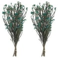 thumbnail image 6 of Vickerman 16" Blue Rice Flower.  Comes in an 8 oz Bundle. Preserved, 6 of 6