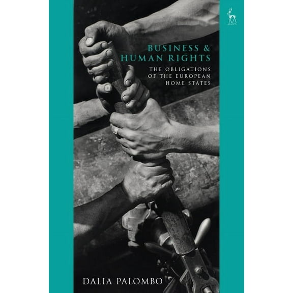 Business and Human Rights : The Obligations of the European Home States (Hardcover)
