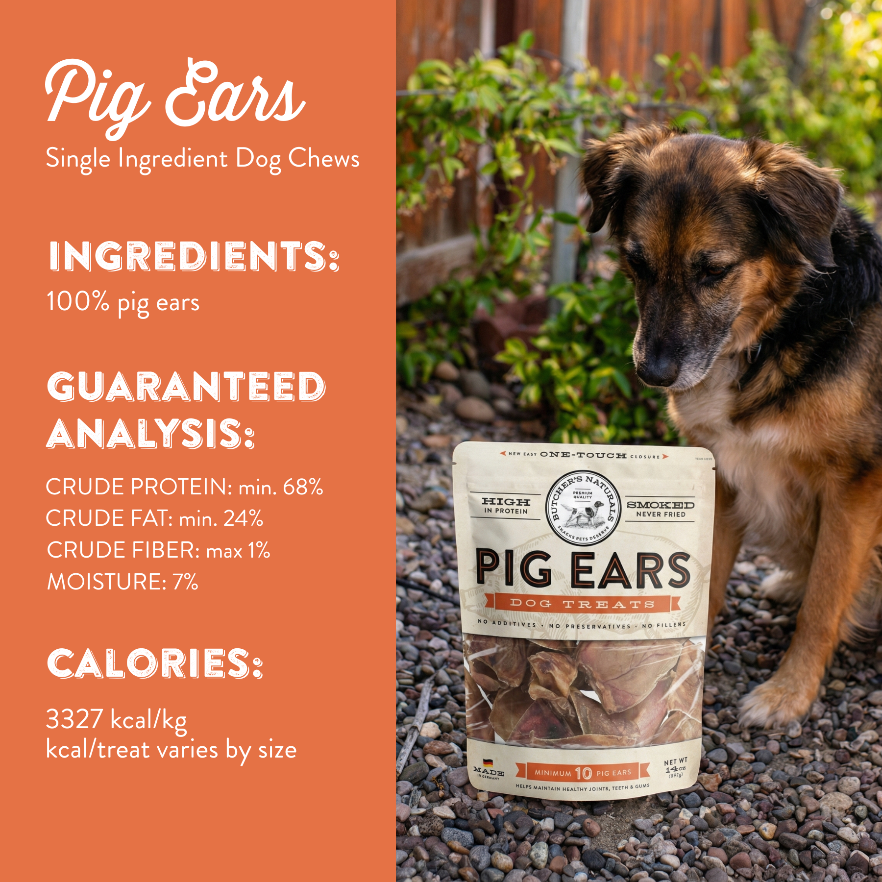 Butcher's Naturals Pork Pig Ears Dog Treats, 10-Pack photo 2
