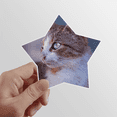 thumbnail image 1 of Brown Cat Animal Profile Stare Star Sticker Paster Vinyl Car Tags Decoration Decal, 1 of 3