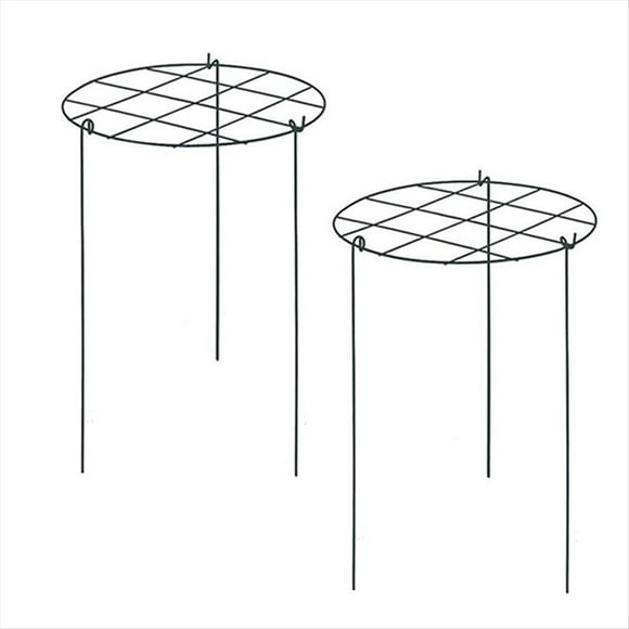 Soporte para Peonías, Jaula de Plantas, Plantas en Crecimiento Adecuado Rosas, Tomates y Orquídeas