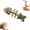 Catnip1, variant on Catnip and Silvervine Chew, Catnip & Silvervine Chew Fish, Fish Bone Shaped Chewing, Natural Dental Care Chewing for Cats