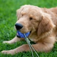 thumbnail image 1 of Dog Chew Rope Toy For Interactive Tug Of War Durable Plaything For Enhanced Bonding Ideal For All Sizes Breeds Dog without Stuffing Chew for Aggressive Chewers Medium Breed Dog Easter Dog for Chewers, 1 of 3