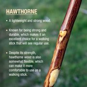 Brazos Free Form Hawthorn Wood Walking Stick 55 Inch Height
