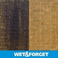 thumbnail image 2 of Wet And Forget Moss, Mold, And Mildew Control3, 2 of 9