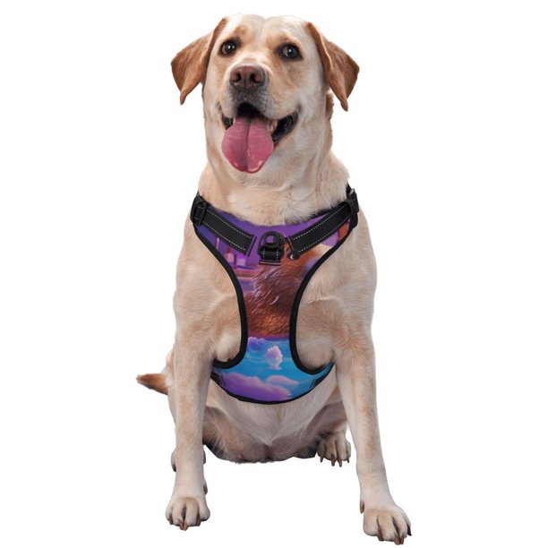 Balery Capybara Bathtub Fun Arnés para Perros Grandes Antitirones, Arnés con Correa para Gato, Arnés Tipo Chaleco para Perros Pequeños-Medium