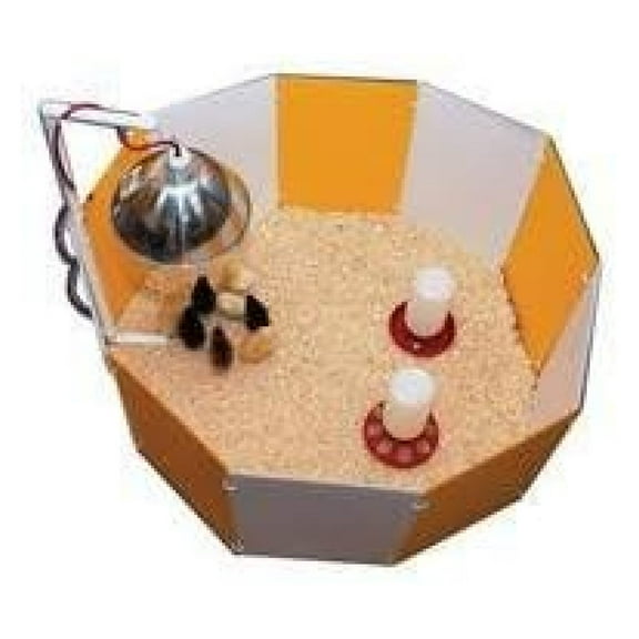 -farm-Baby Chick Starter Home- Orange/white