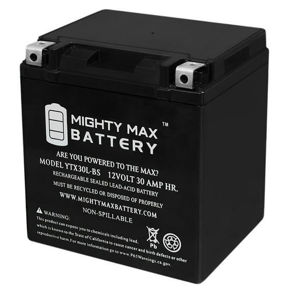 Polaris Sportsman Battery