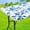 Cerulean Blue, variant on decorUhome Rectangle Spandex Fitted Tablecloth 6 FT Tables, Washable Picnic Table Cover with Elastic, Washable Reusable Table Cloth for Party, Dining (Beige Flower, 30"x72")