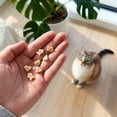 thumbnail image 2 of Catit Creamy Bitz Moist Cat Treats Chicken & Scallops 48 G, 2 of 16