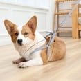 thumbnail image 5 of Small and medium-sized cats and dogs I-shaped chest strap traction rope, 5 of 5
