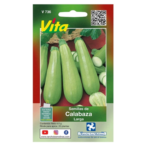 Semillas Calabaza Larga Vita