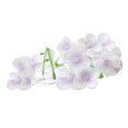 thumbnail image 3 of 20 piezas de cabezas artificiales Boda DIY Decoración de playa - Multicolor, se describe Púrpura claro yotijar Pétalos de flores artificiales, 3 of 8