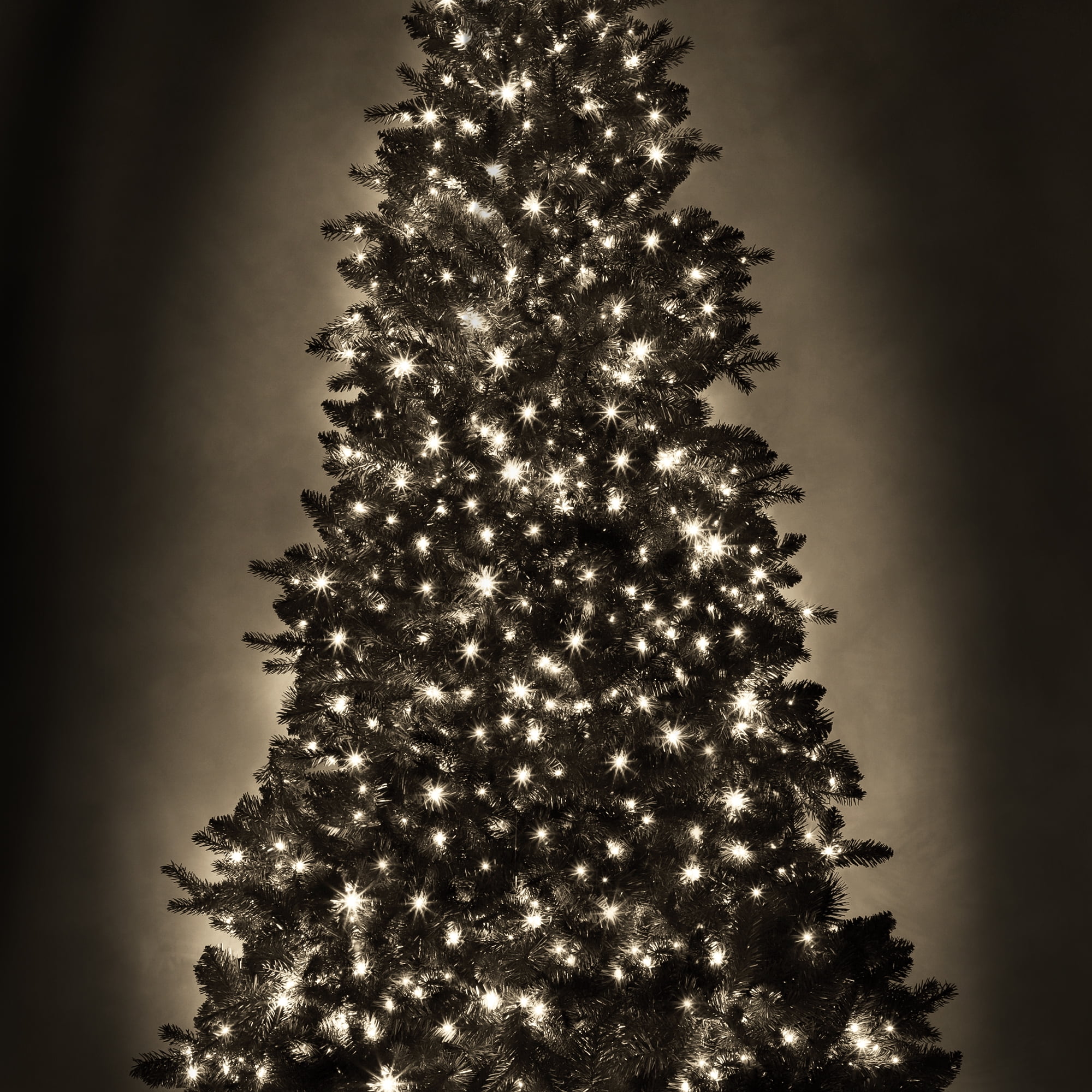 Danson Décor 500CT LED Plug In Lights, Warm White, 500CT LED LIGHTS WARM WHITE