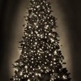 thumbnail image 4 of Danson Décor 500CT LED Plug In Lights, Warm White, 4 of 4